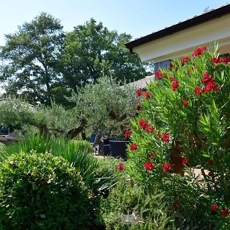 Villa Birds House Rovigno Esterno foto