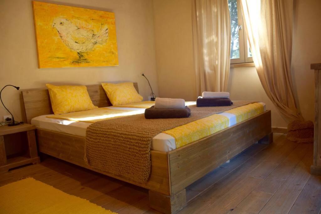 Birds House Rovigno