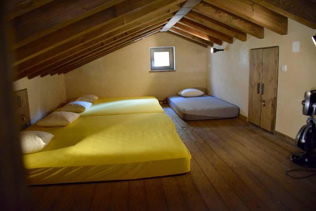 Birds House Rovigno