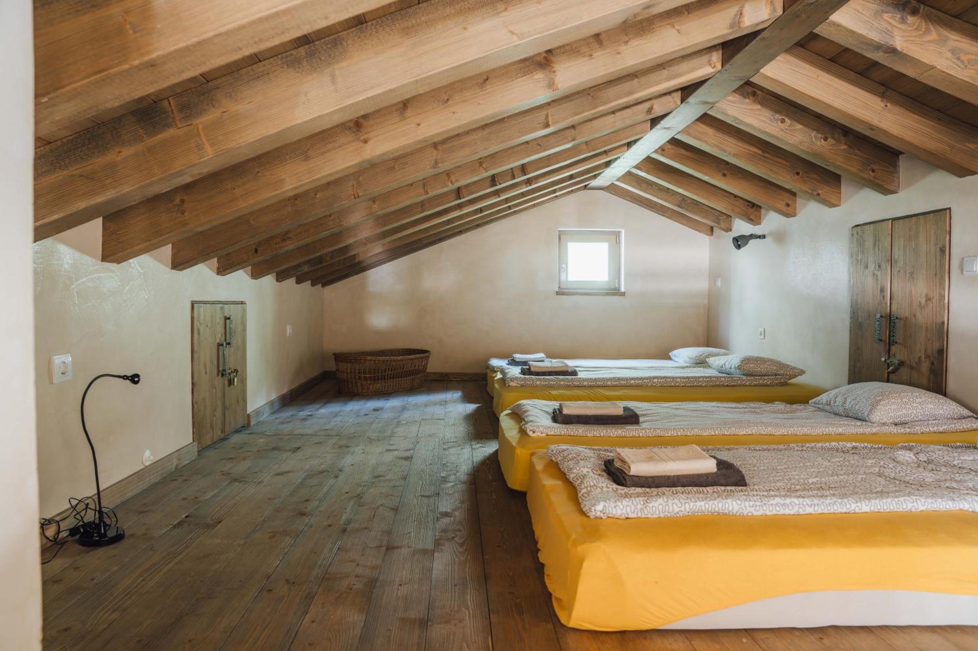 Birds House * Rovigno